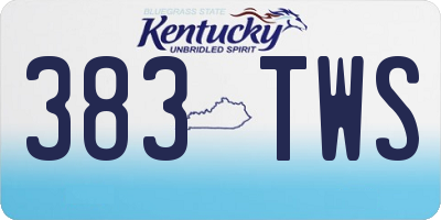 KY license plate 383TWS
