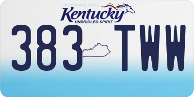 KY license plate 383TWW
