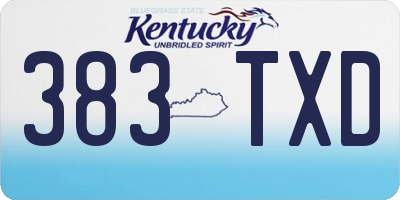 KY license plate 383TXD
