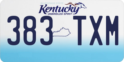 KY license plate 383TXM
