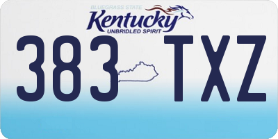 KY license plate 383TXZ