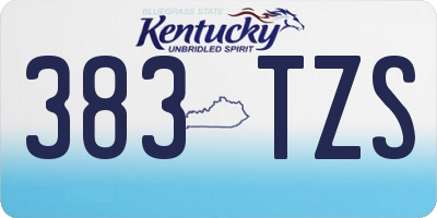 KY license plate 383TZS