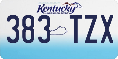 KY license plate 383TZX