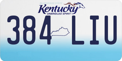 KY license plate 384LIU