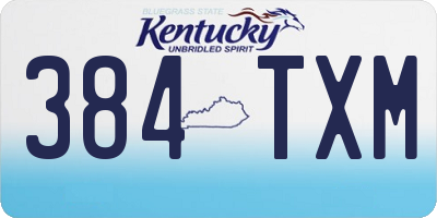 KY license plate 384TXM