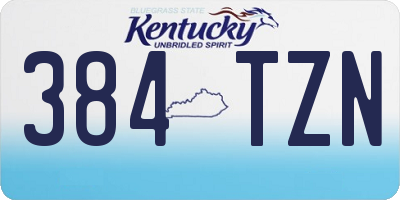 KY license plate 384TZN