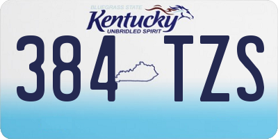 KY license plate 384TZS