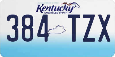 KY license plate 384TZX