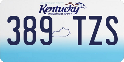 KY license plate 389TZS