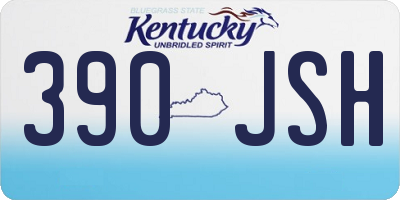 KY license plate 390JSH