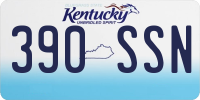KY license plate 390SSN