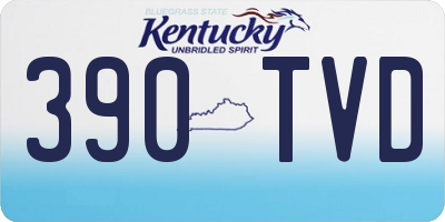 KY license plate 390TVD