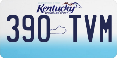 KY license plate 390TVM