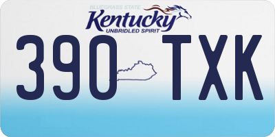 KY license plate 390TXK