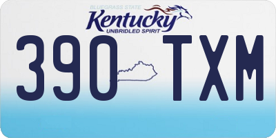 KY license plate 390TXM