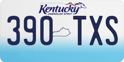 KY license plate 390TXS