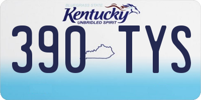 KY license plate 390TYS