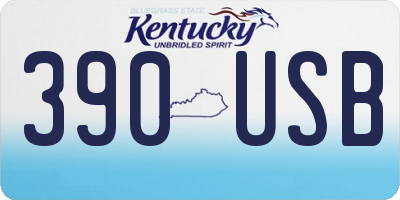 KY license plate 390USB