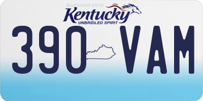 KY license plate 390VAM