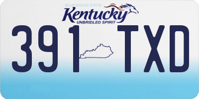 KY license plate 391TXD