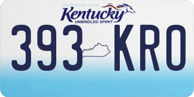 KY license plate 393KRO