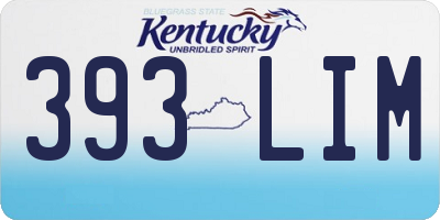 KY license plate 393LIM