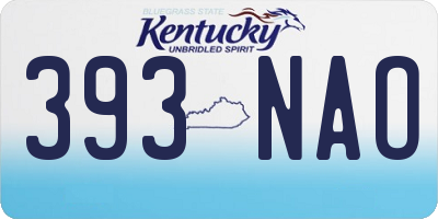 KY license plate 393NAO