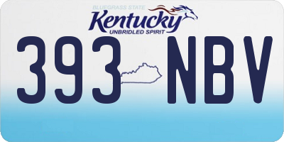KY license plate 393NBV