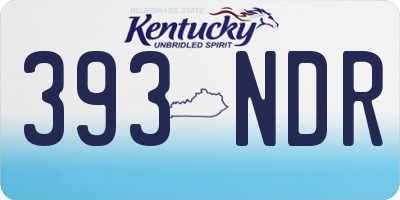KY license plate 393NDR