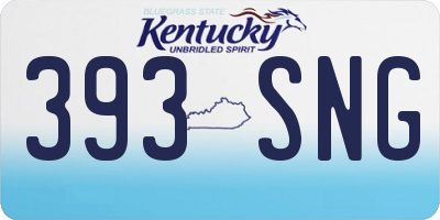 KY license plate 393SNG