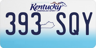 KY license plate 393SQY