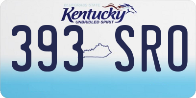 KY license plate 393SRO