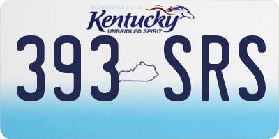 KY license plate 393SRS