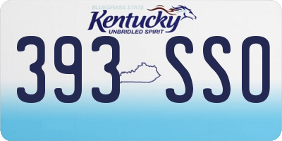 KY license plate 393SSO