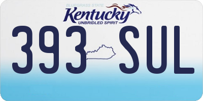 KY license plate 393SUL