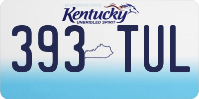 KY license plate 393TUL