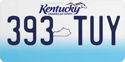 KY license plate 393TUY
