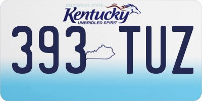 KY license plate 393TUZ
