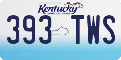 KY license plate 393TWS