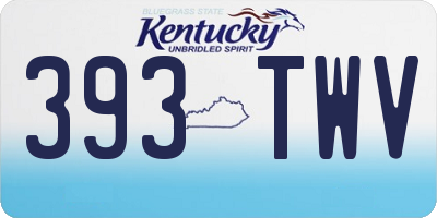 KY license plate 393TWV