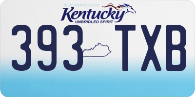 KY license plate 393TXB