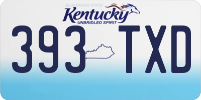 KY license plate 393TXD