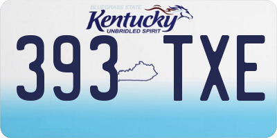 KY license plate 393TXE