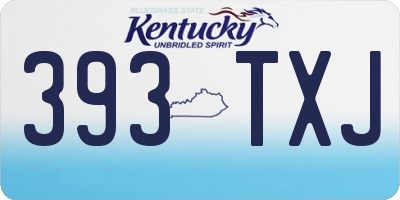 KY license plate 393TXJ