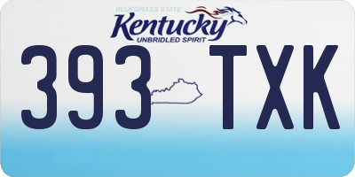 KY license plate 393TXK