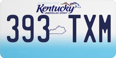 KY license plate 393TXM