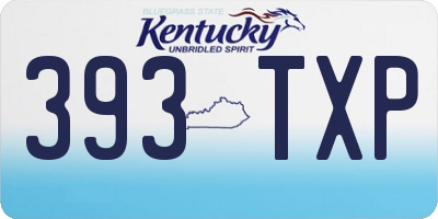 KY license plate 393TXP