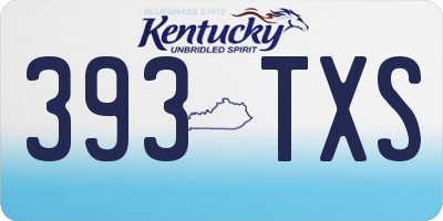 KY license plate 393TXS