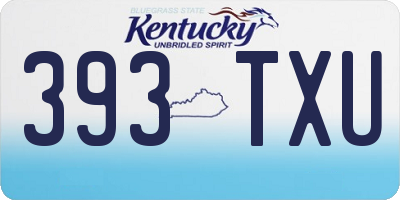 KY license plate 393TXU
