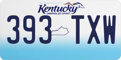 KY license plate 393TXW